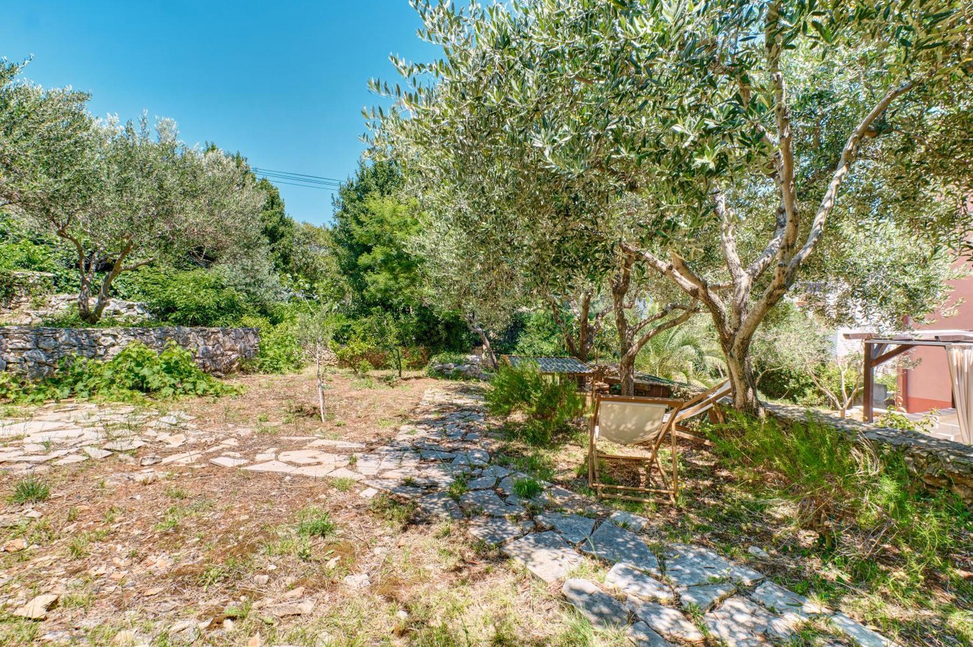 מאלי לוסיניי Providenca Accommodation מראה חיצוני תמונה