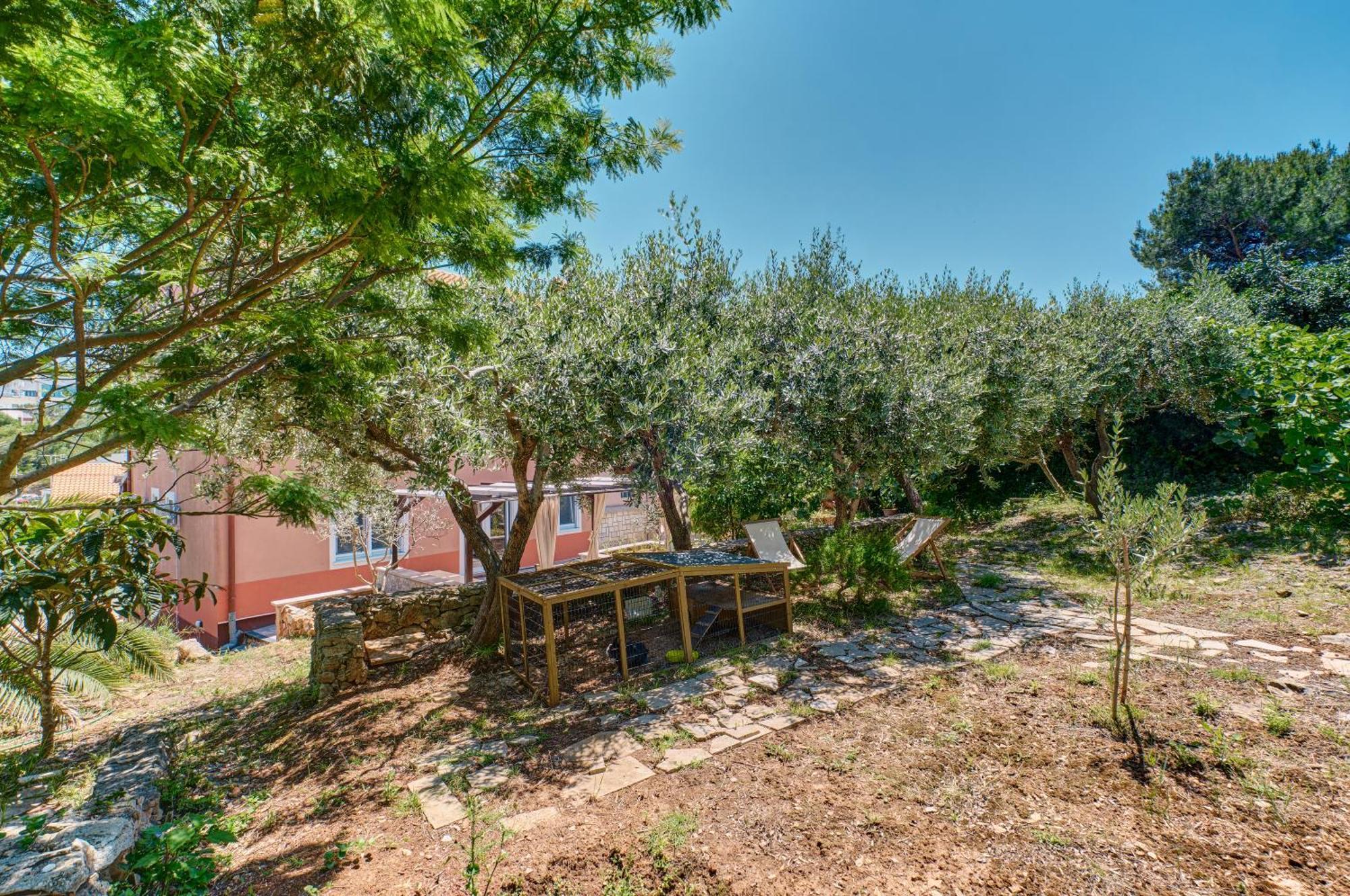 מאלי לוסיניי Providenca Accommodation מראה חיצוני תמונה