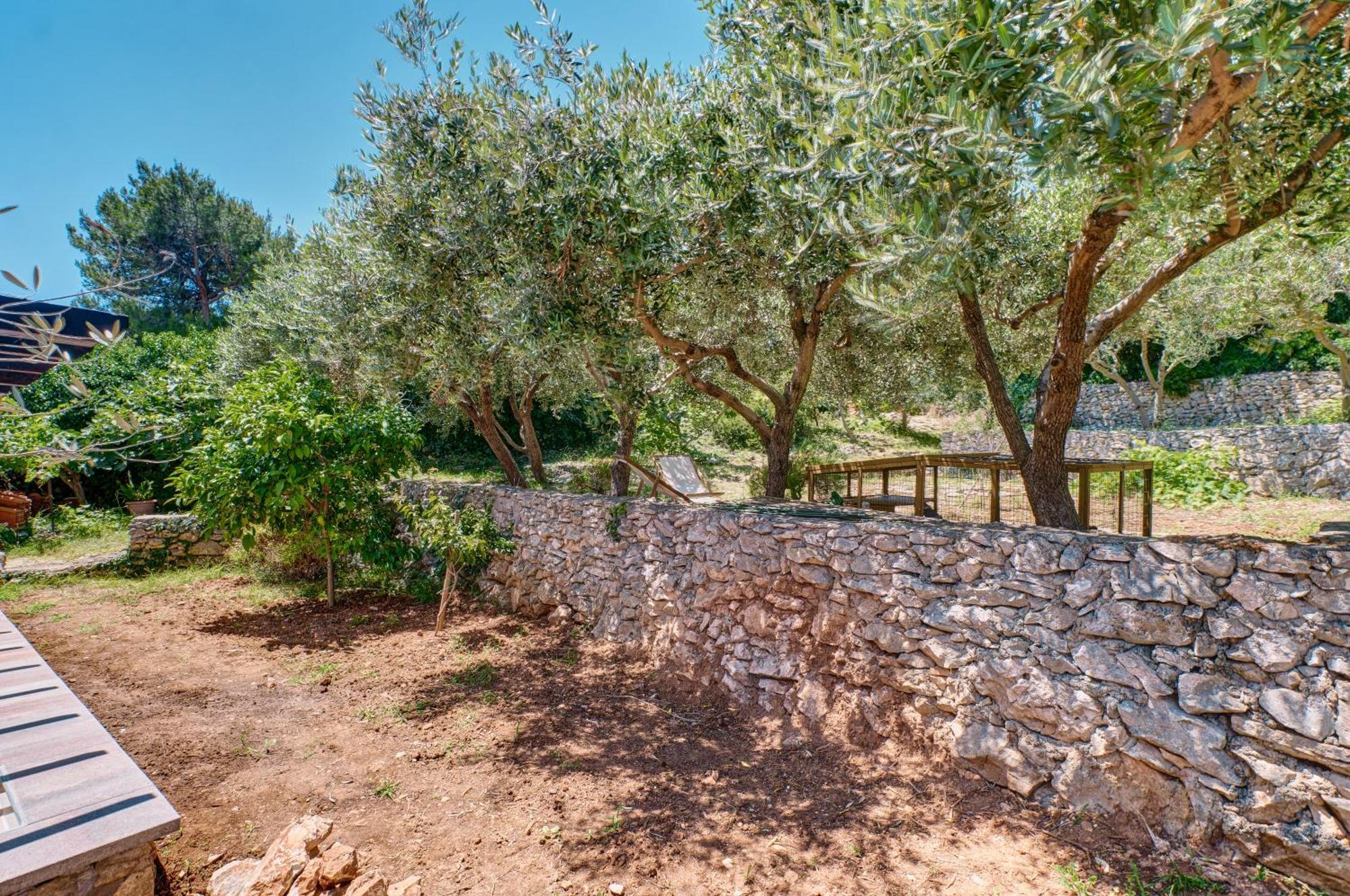 מאלי לוסיניי Providenca Accommodation מראה חיצוני תמונה