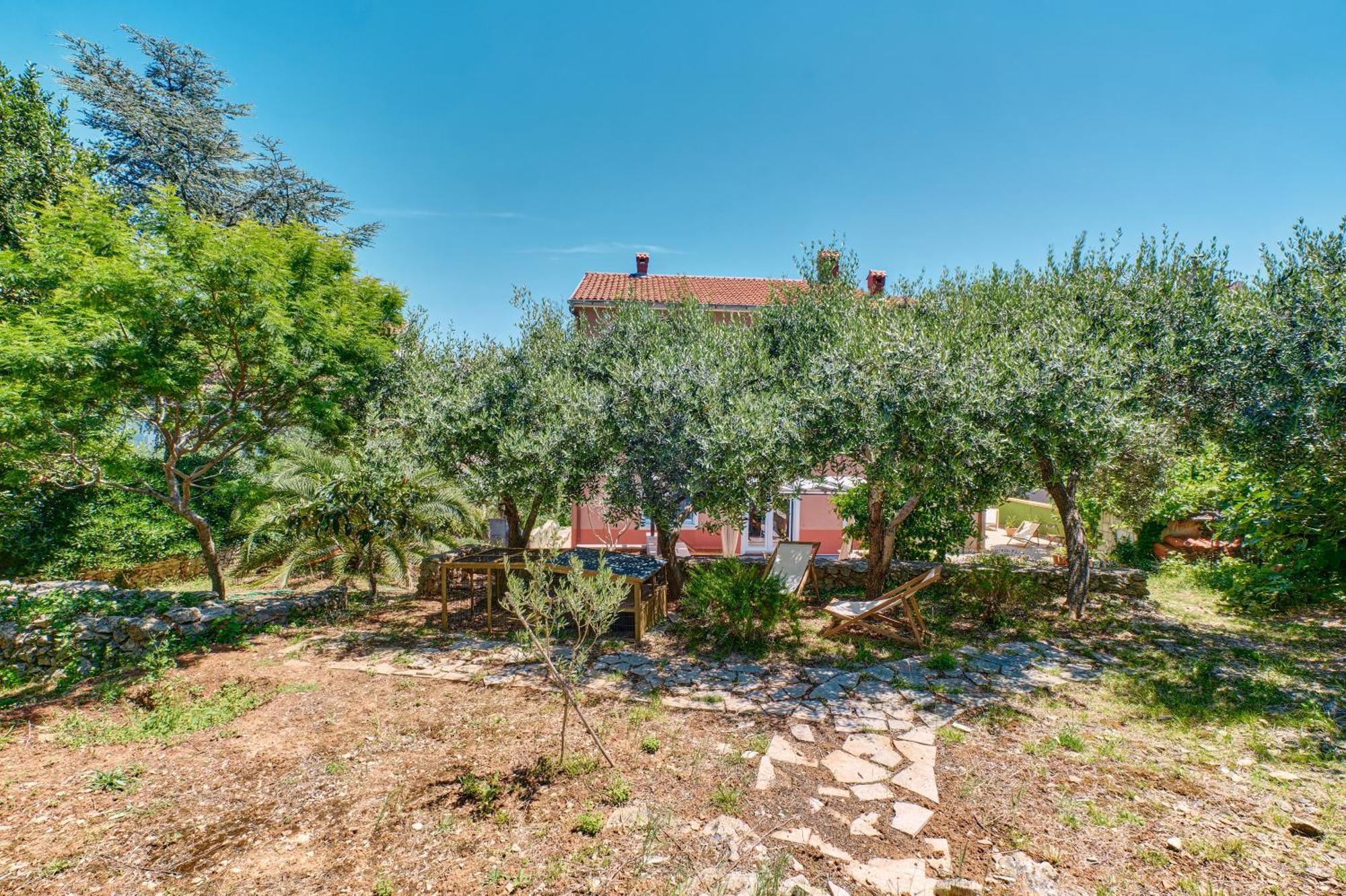 מאלי לוסיניי Providenca Accommodation מראה חיצוני תמונה